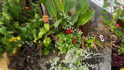 Explore stoic tattoos ideas, creative tattoo ideas in Easthampton, available at Luckys Tattoo Studio