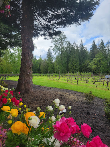 Winery «Three Brothers Vineyard and Winery», reviews and photos, 2411 NE 244th St, Ridgefield, WA 98642, USA