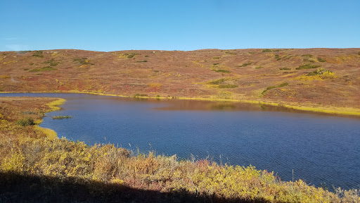 National Park «Denali National Park and Preserve», reviews and photos