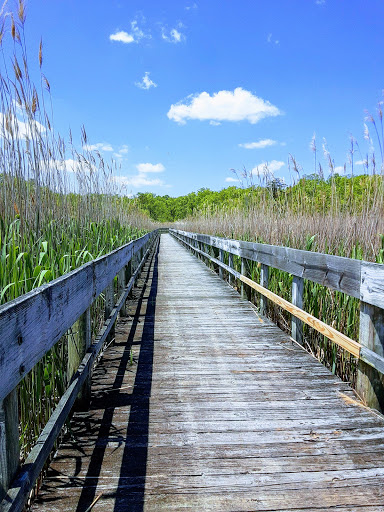 Park «Miami Beach Park», reviews and photos, 4001 Bay Dr, Middle River, MD 21220, USA