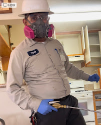 Hydrogen Pest control - Photo 2 - Car repair in , Lancaster