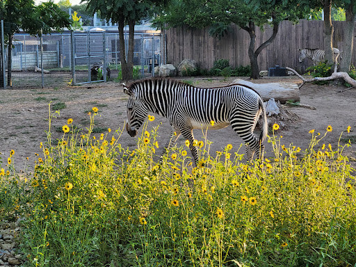 Zoo «Sedgwick County Zoo», reviews and photos, 5555 Zoo Boulevard, Wichita, KS 67212, USA