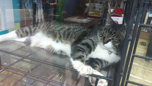 Home Improvement Store «Almac Hardware», reviews and photos, 2 Newkirk Plaza, Brooklyn, NY 11226, USA