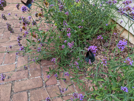 Battle Site «Fort Donelson National Battlefield», reviews and photos, 120 Lock D Rd, Dover, TN 37058, USA
