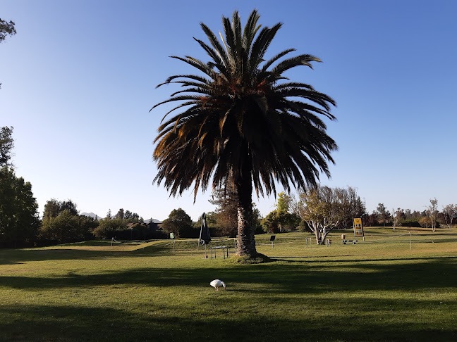 Club de Golf Las Araucarias / Camino Cervera Lo Balboa - Buin