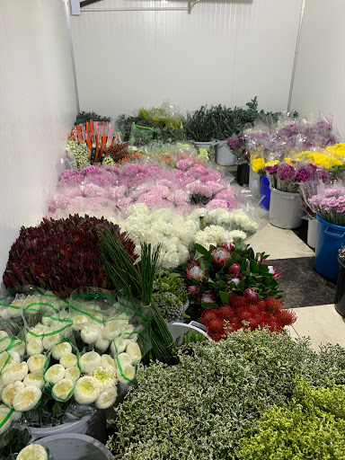 ليان التجارية 