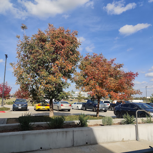 Restaurant «Cowboy Chicken Irving», reviews and photos, 3351 Regent Blvd #100, Irving, TX 75063, USA