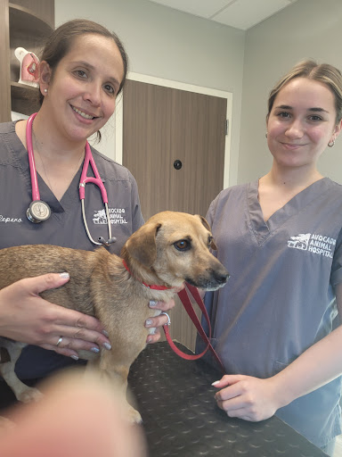 Avocado Animal Hospital image