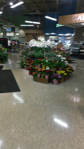 Supermarket «Publix Super Market at Naples Plaza», reviews and photos, 1981 Tamiami Trail N, Naples, FL 34102, USA