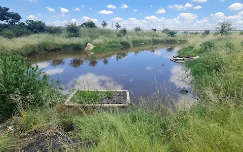 Turfnet Compost Site image