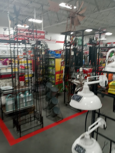 Home Improvement Store «Tractor Supply Co.», reviews and photos, 6945 US Hwy 98 N, Lakeland, FL 33809, USA