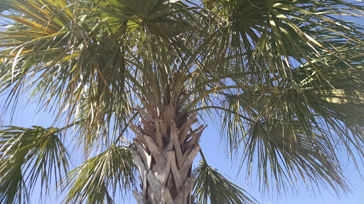 Park «Henry C. Chambers Waterfront Park», reviews and photos, Bay St, Beaufort, SC 29902, USA