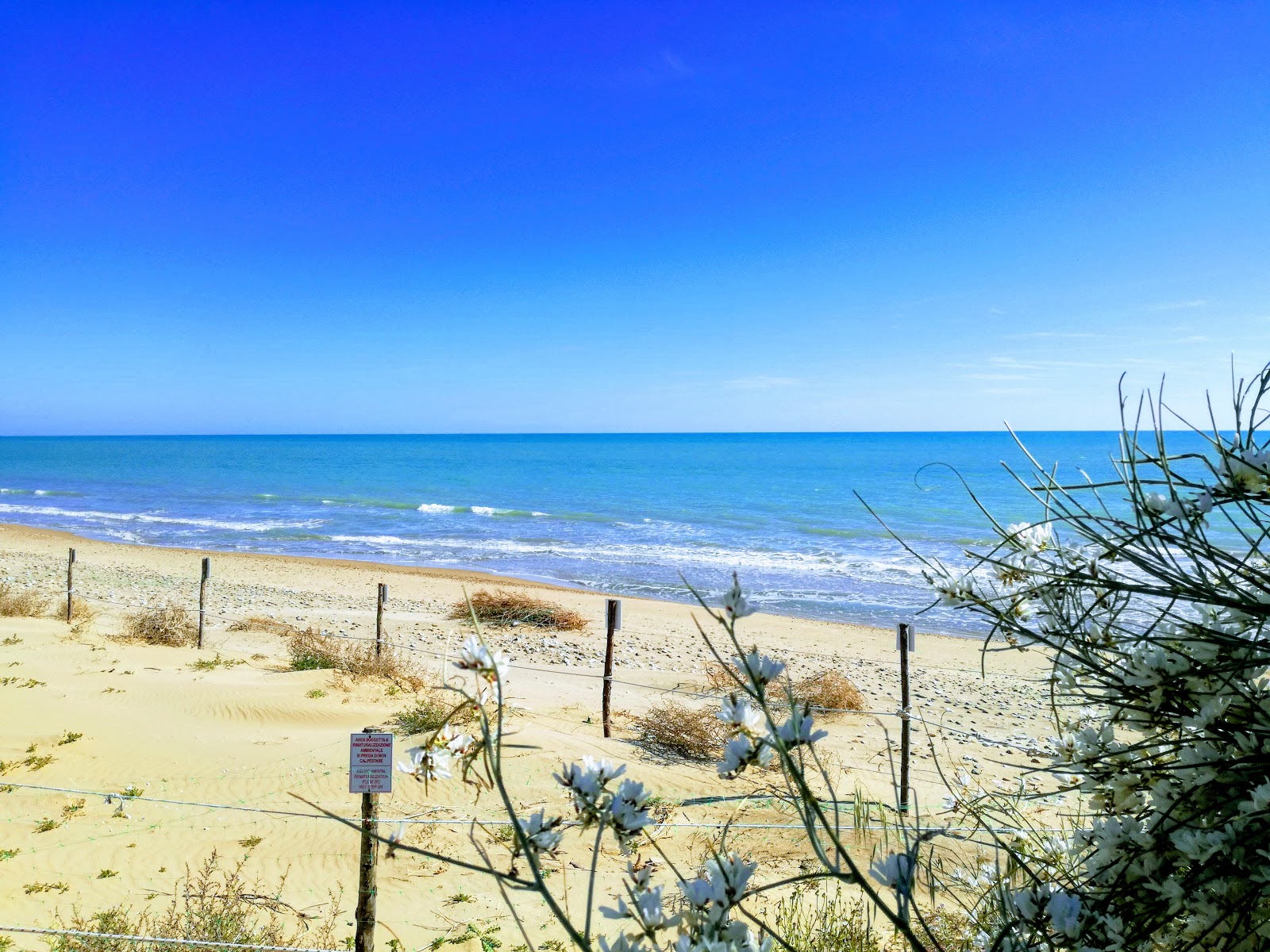 Foto de Marina di Butera con playa amplia