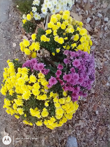 Thrift Store «Second Blessing Thrift Store Inc.», reviews and photos, 2323 Central Ave, Wichita, KS 67214, USA