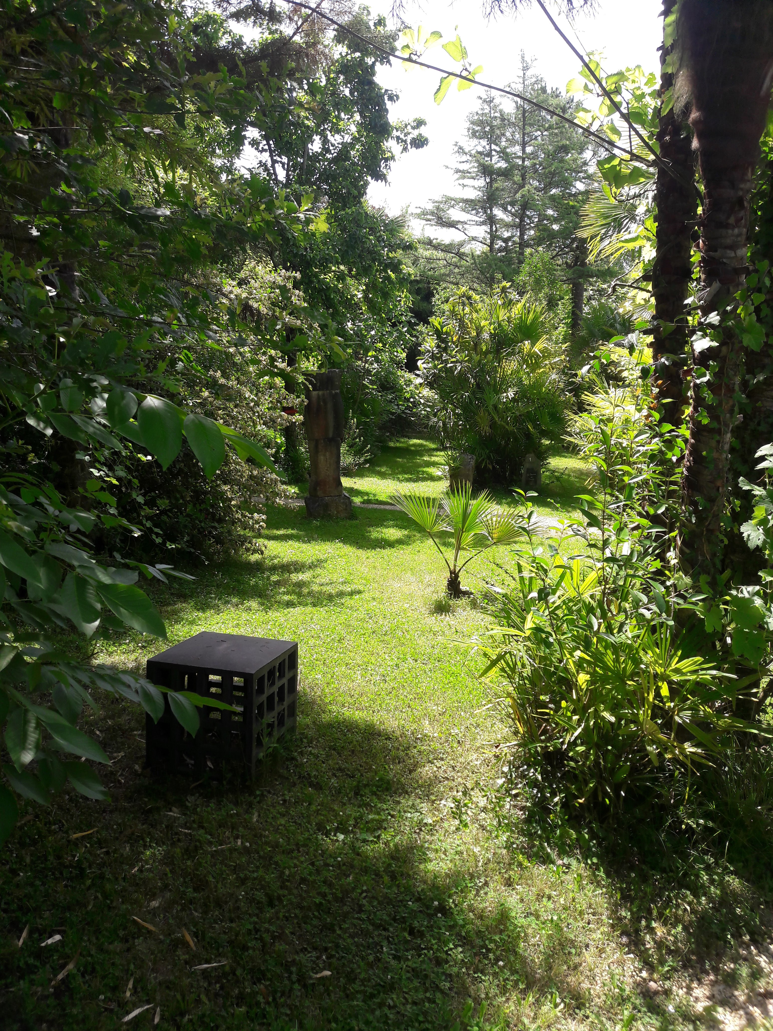 Photo n° 2 de l'avis de Jean-pierre.i fait le 27/06/2019 à 08:13