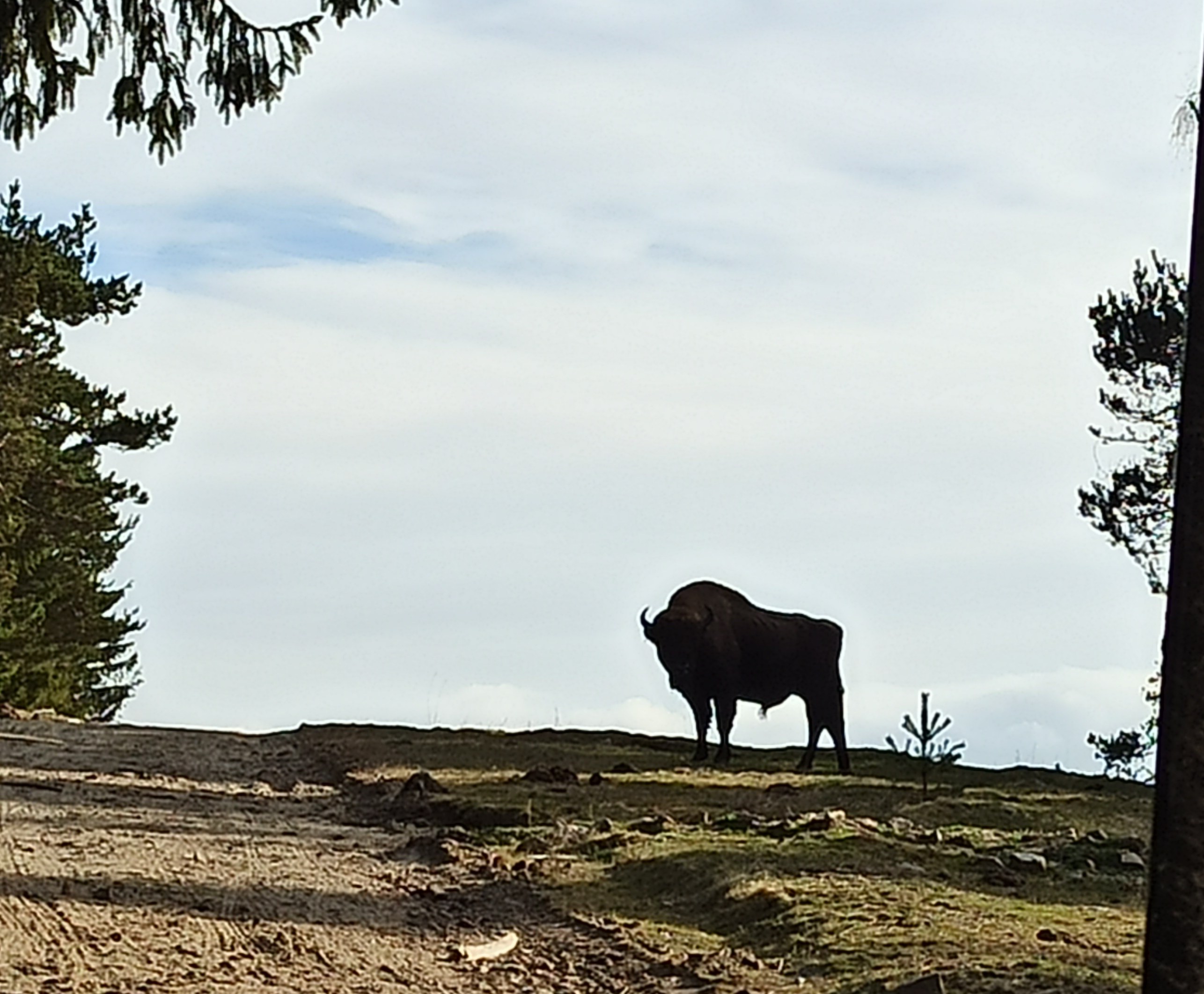 Photo n° 1 de l'avis de Anne-France.r fait le 01/01/2023 à 09:14