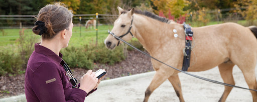 Dr. med. vet. Nicole Hieber unter Allershausen, 