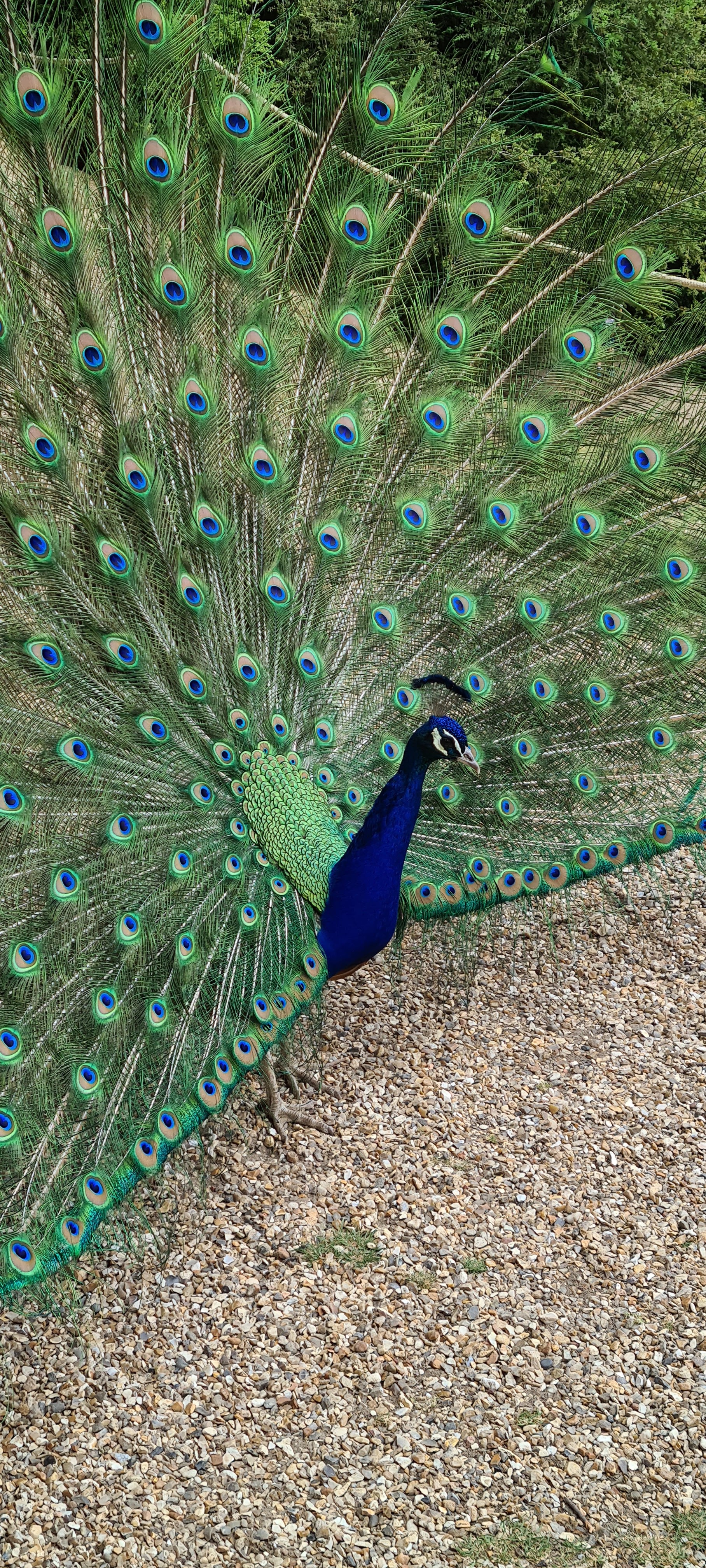 Photo n° 6 de l'avis de Raynald. fait le 15/05/2022 à 18:40