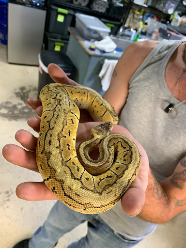 Pet Store «Pet Cove», reviews and photos, 820 E Center St, Kingsport, TN 37660, USA