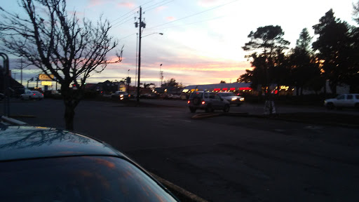 Grocery Store «Safeway», reviews and photos, 2220 N Coast Hwy, Newport, OR 97365, USA