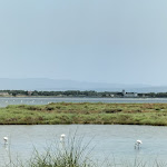 Photo n°19 de l'avis de Pamela.a fait le 23/07/2023 à 17:52 sur le  Camping S'Ena Arrubia à Arborea