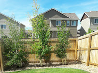 EBS Tree and Landscaping - Photo 2 - Car repair in , Thornton