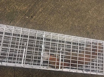 Orlando Rats - Photo 9 - Car repair in Orlando, FL, Orlando