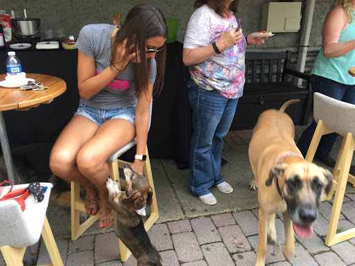 Pet Supply Store «The Hungry Puppy», reviews and photos, 1288 NJ-33, Farmingdale, NJ 07727, USA