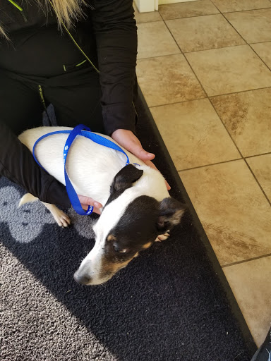 Lake Area Animal Hospital: Stark Joe DVM image