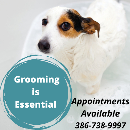 Pet Supply Store «Grrs & Purrs», reviews and photos, 116 N Woodland Blvd, DeLand, FL 32720, USA