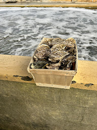 Photo n°49 de Les Petites Folies à Gujan-Mestras ()