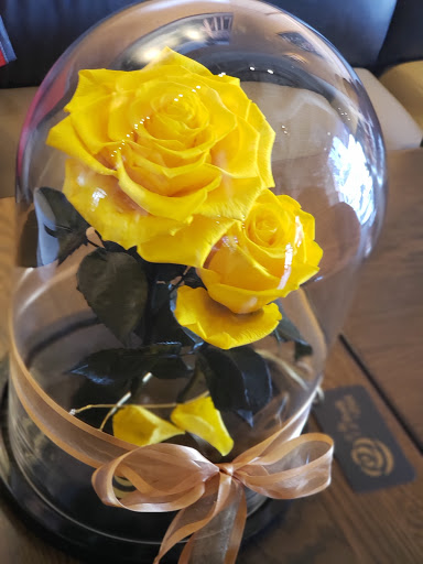 Coffee Shop «Starbucks», reviews and photos, 1508 N Westshore Blvd, Tampa, FL 33607, USA