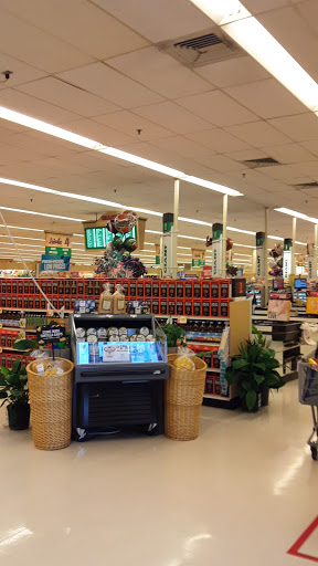 Grocery Store «Giant Food Stores», reviews and photos, 5858 Easton Rd, Doylestown, PA 18902, USA