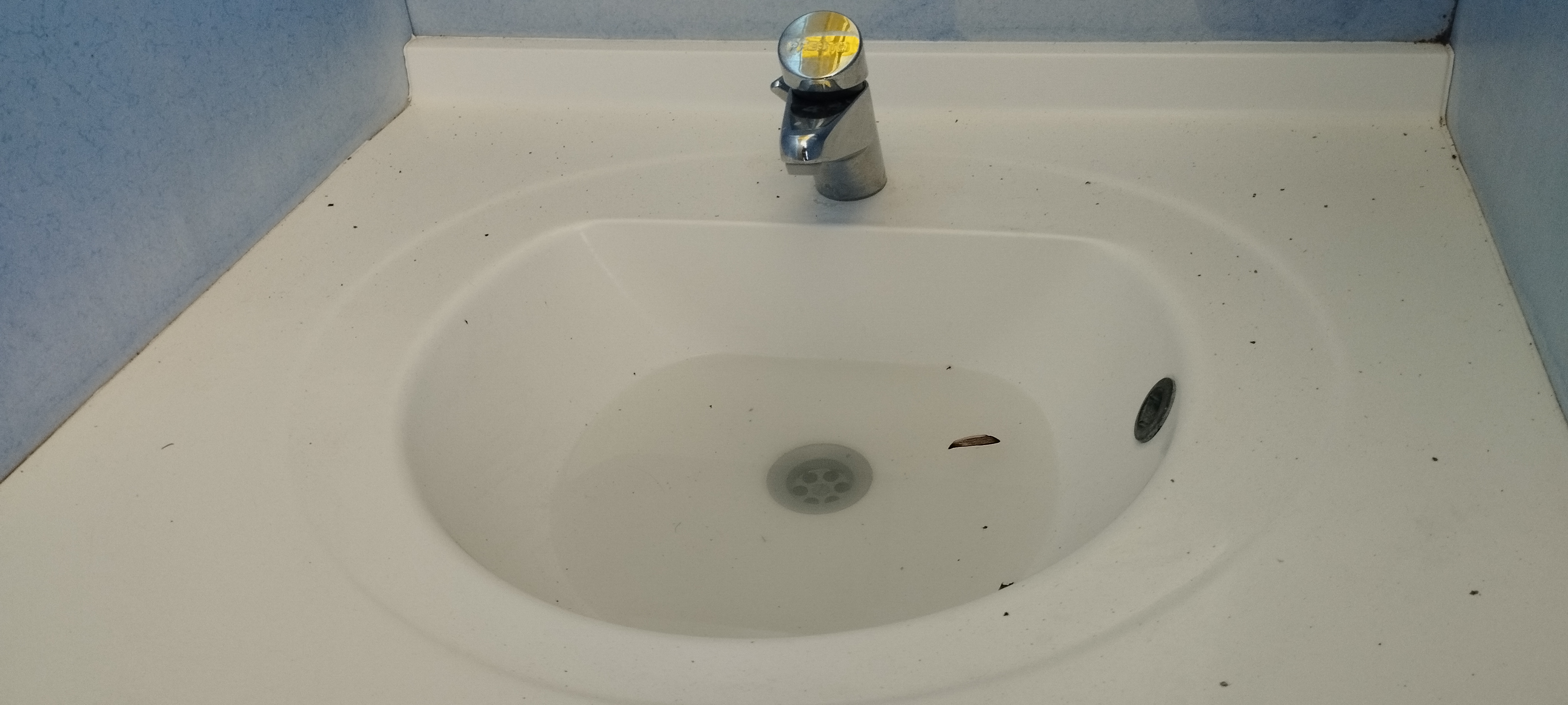Photo n° 2 de l'avis de njp. fait le 31/07/2022 à 20:16