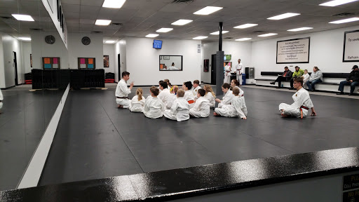 Aikido club Sterling Heights
