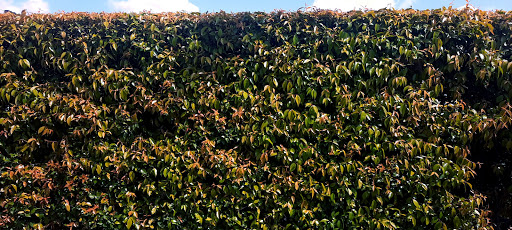 Self-Storage Facility «Price Self Storage», reviews and photos, 1110 W Foothill Blvd, Azusa, CA 91702, USA