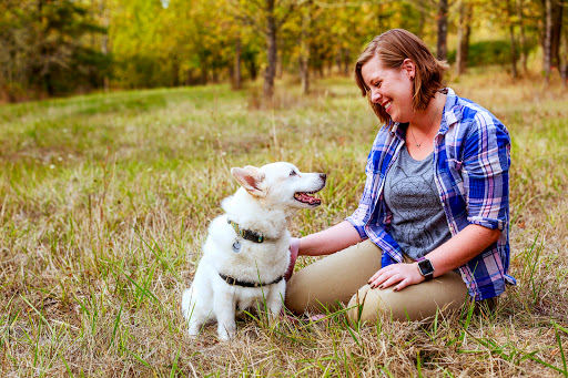 Creative Canine Solutions: Dog Training and Behavior Modification