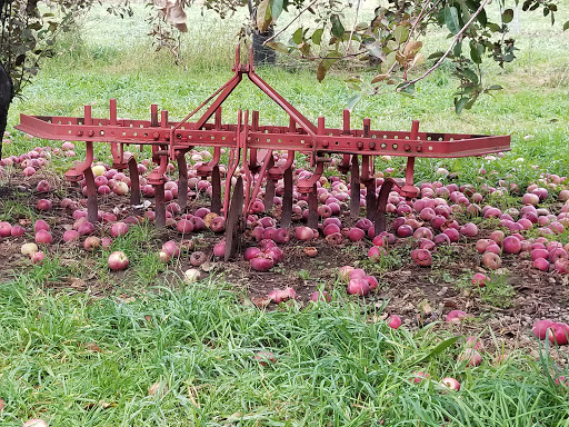 Orchard «Autumn Hills Orchard», reviews and photos, 495 Chicopee Row, Groton, MA 01450, USA