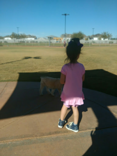 Park «Pioneer Community Park», reviews and photos, 8755 N 83rd Ave, Peoria, AZ 85345, USA
