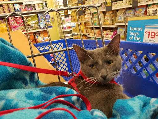 Pet Supply Store «Petco Animal Supplies», reviews and photos, 1237 Flammang Dr, Waterloo, IA 50702, USA