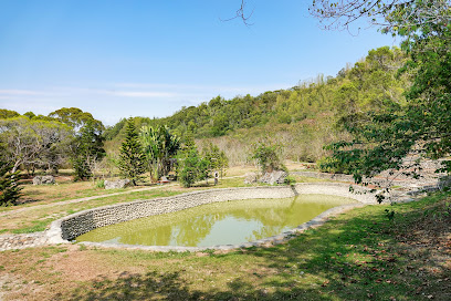 大岗山自然公园