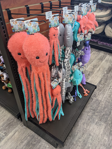Pet Supply Store «Pet Supermarket», reviews and photos, 10291 Pines Blvd, Pembroke Pines, FL 33026, USA