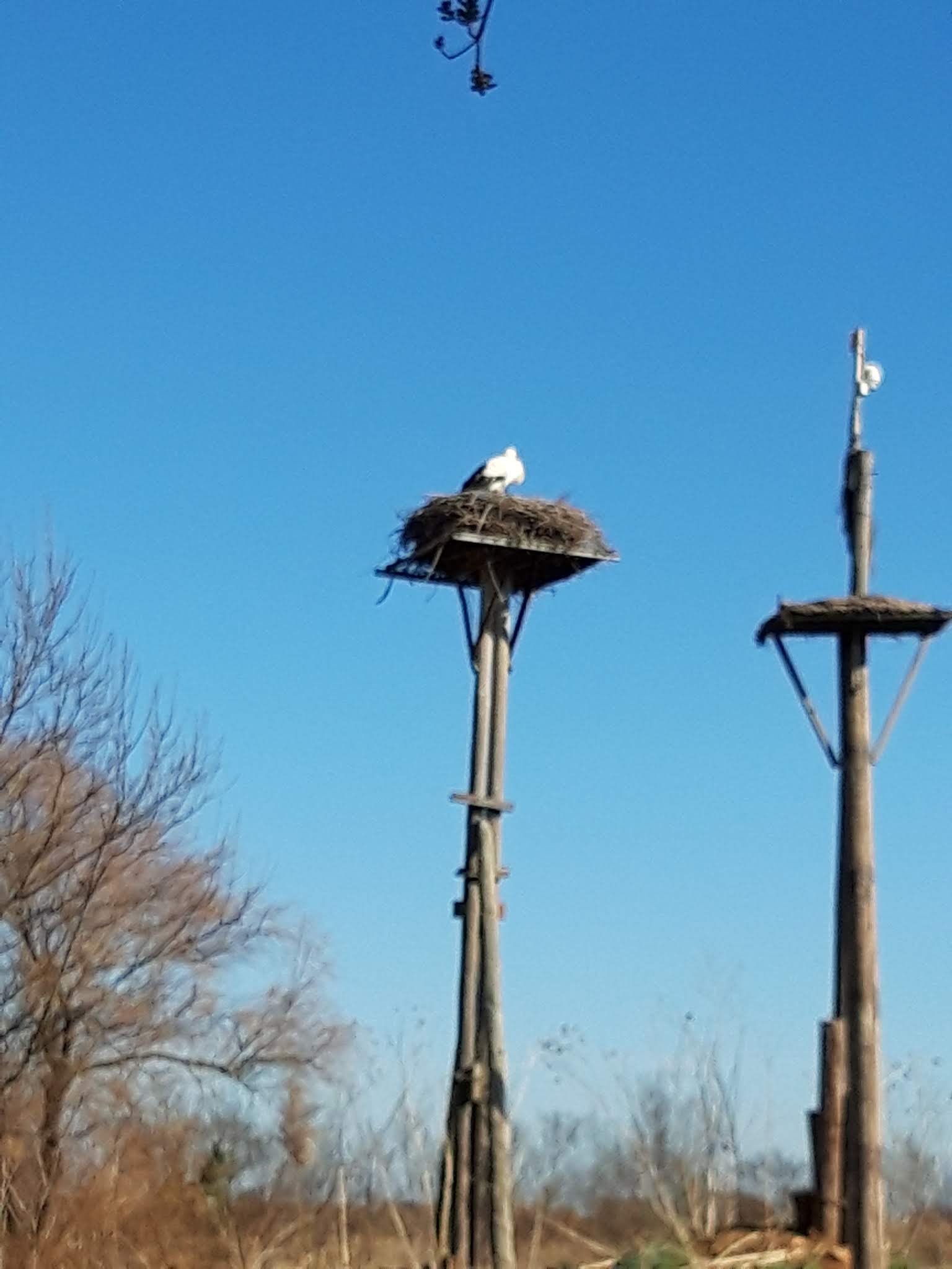 Photo n° 6 de l'avis de Gérard.R fait le 29/01/2019 à 17:21