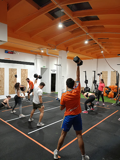 Bagheera Training Center en Zaragoza, Zaragoza