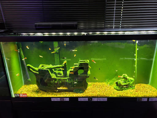 Pet Store «Fish & More Pet Store», reviews and photos, 310 E Main St #8, Sylva, NC 28779, USA