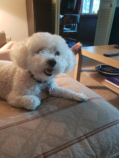 Pet Supply Store «Petco Animal Supplies», reviews and photos, 10060 US Highway 40 G-150, Ellicott City, MD 21042, USA