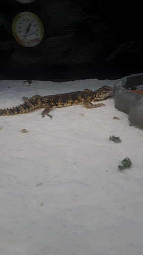 Pet Supply Store «Petco Animal Supplies», reviews and photos, 1150 Concord Ave #160, Concord, CA 94520, USA