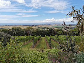 Waitapu Estate Vineyard