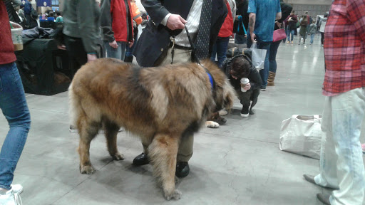 Performing Arts Theater «WaMu Theater», reviews and photos, 800 Occidental Ave S, Seattle, WA 98134, USA