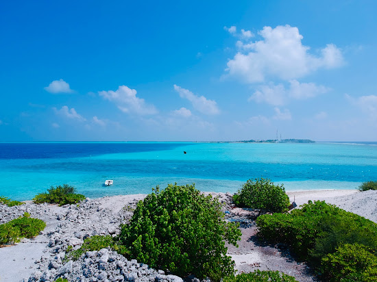Velifaru island Beach